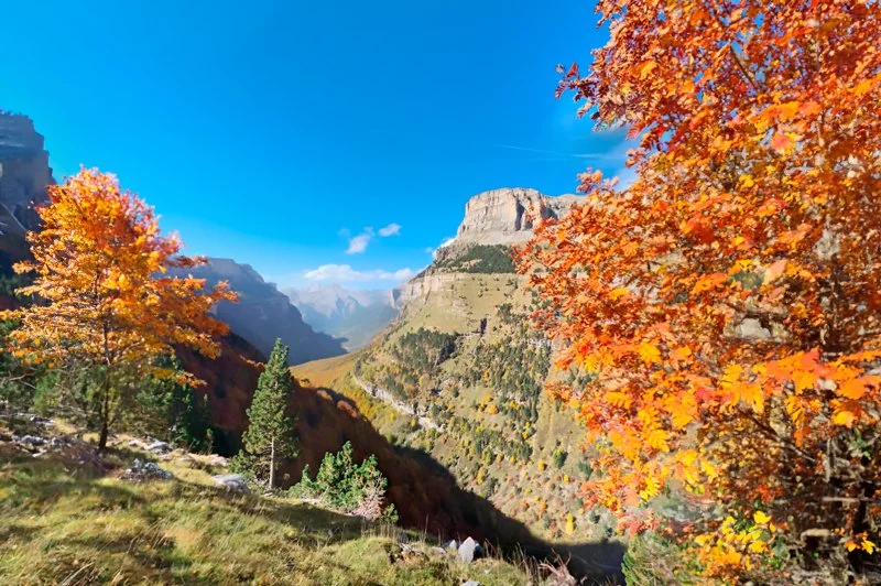 paseo por Huesca con una puta Huesca